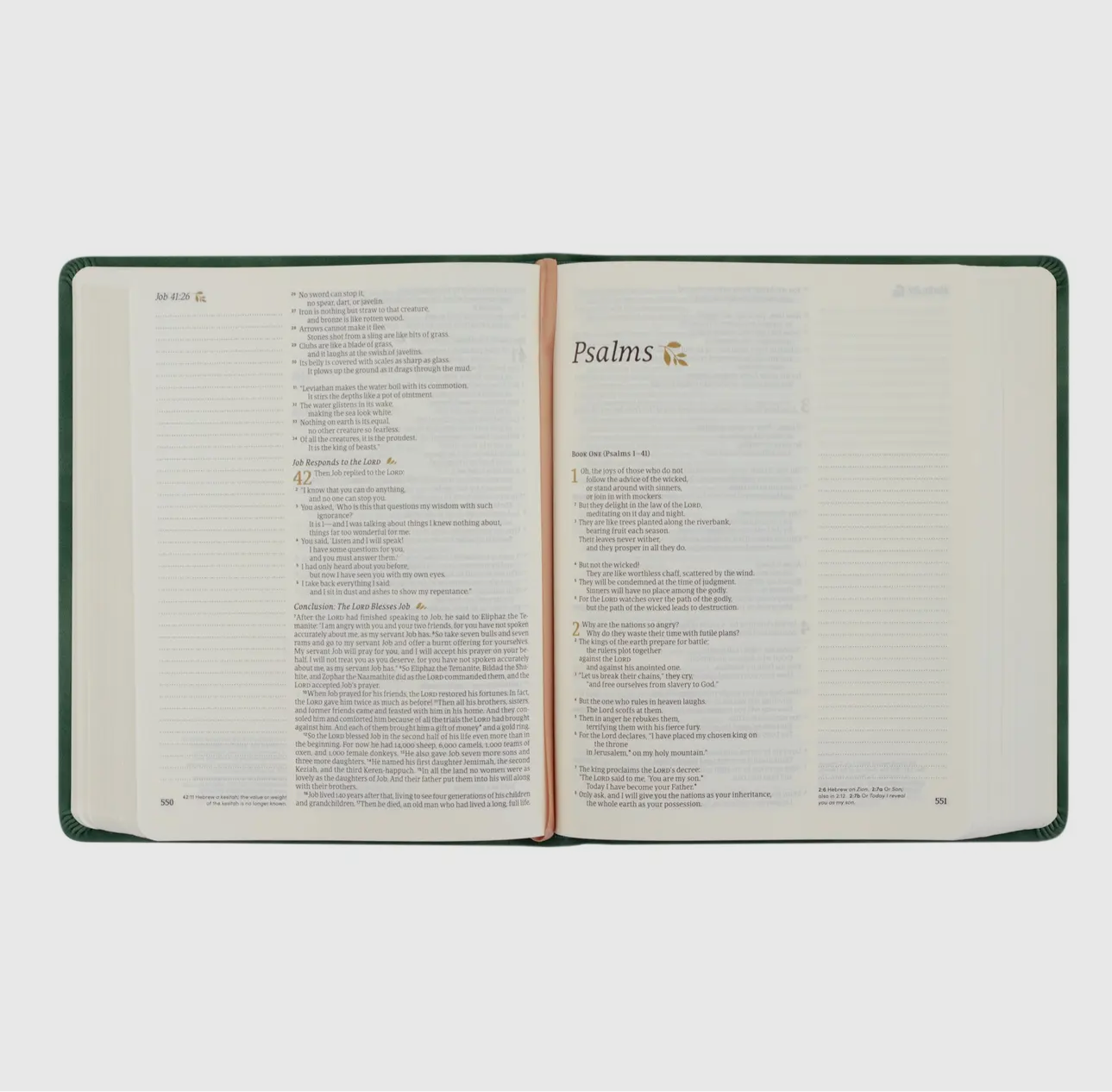 Bible - NLT