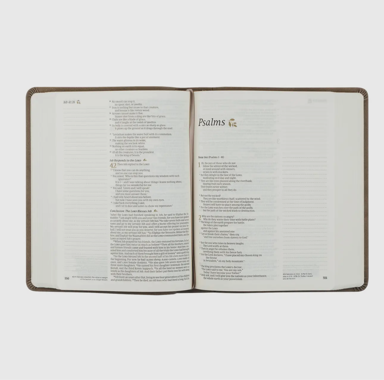 Bible - NLT